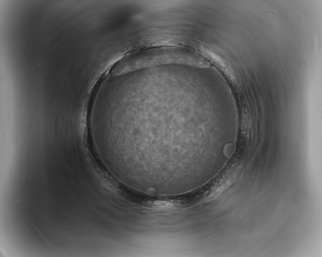 X0000094060394200710191105