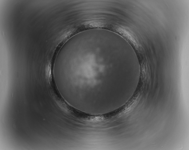X0000094060398200710191105