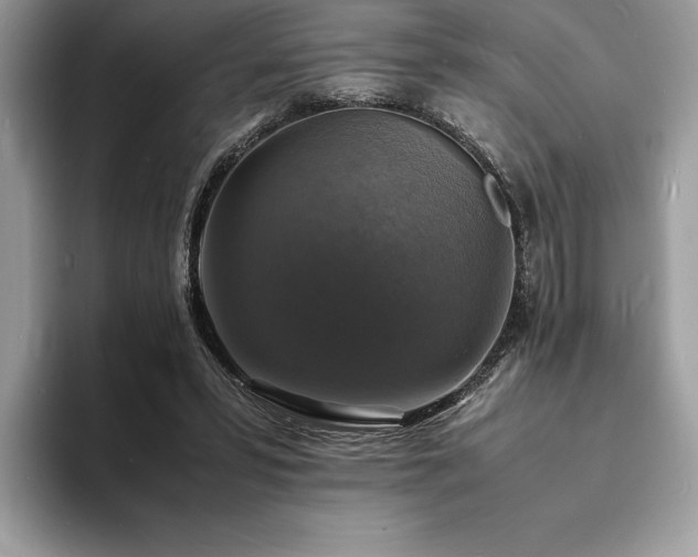 X0000094060399200710191105