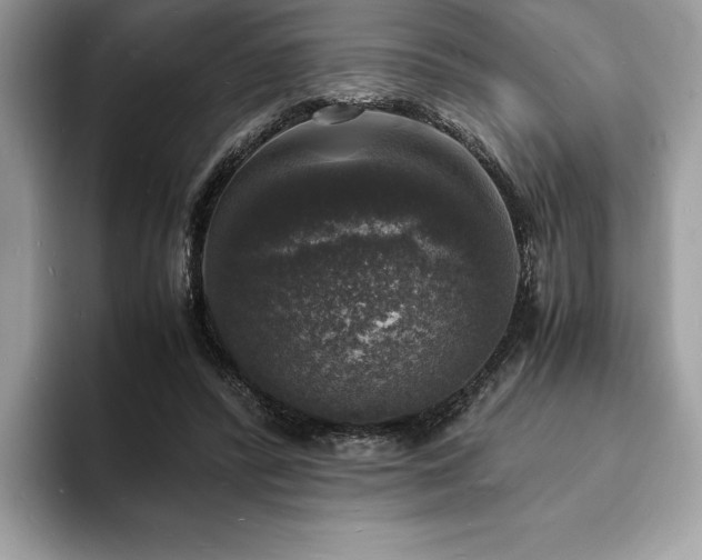 X0000094060400200710191105