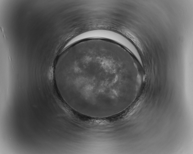 X0000094060401200710191105