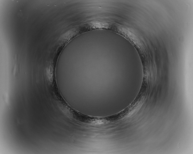 X0000094060402200710191105