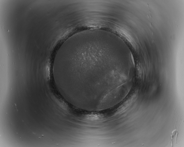 X0000094060404200710191105