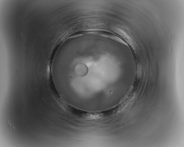 X0000094060405200710191105