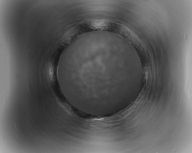 X0000094060408200710191105