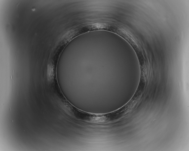 X0000094060410200710191105
