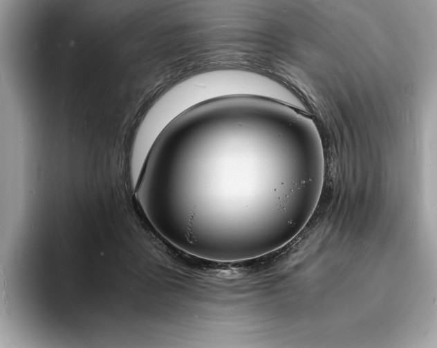 X0000094060411200710191105