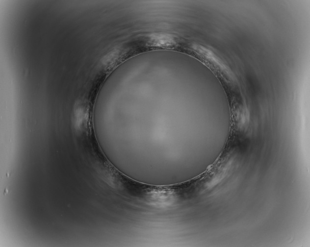 X0000094060415200710191105
