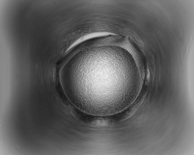 X0000094060416200710191105