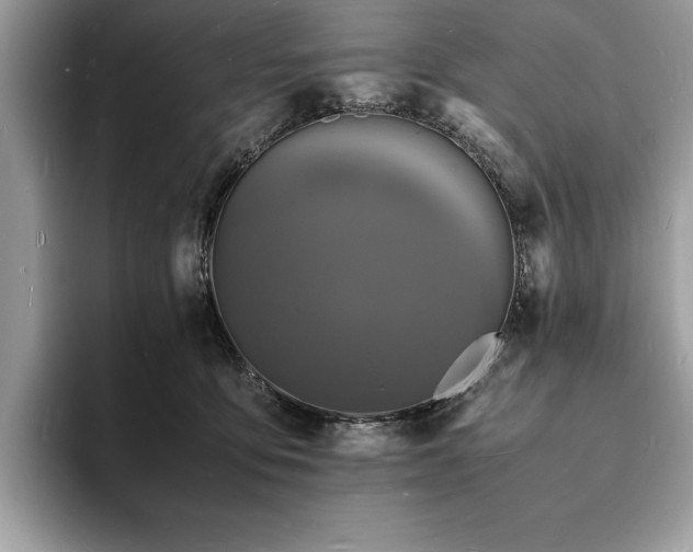 X0000094060419200710191105