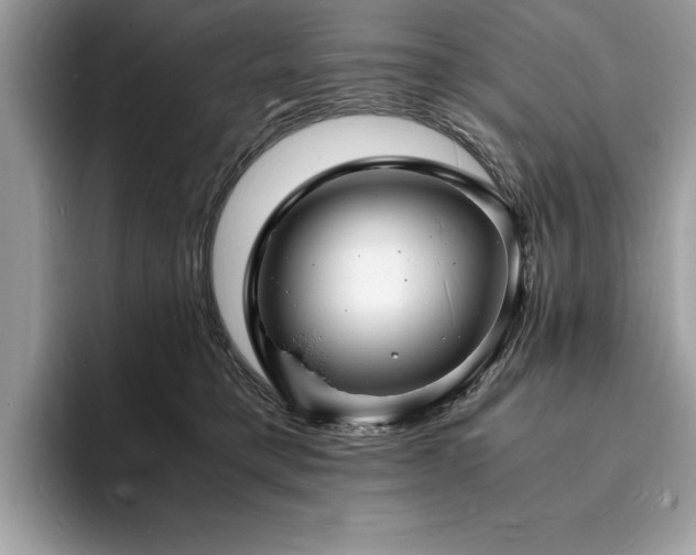 X0000094060421200710191105