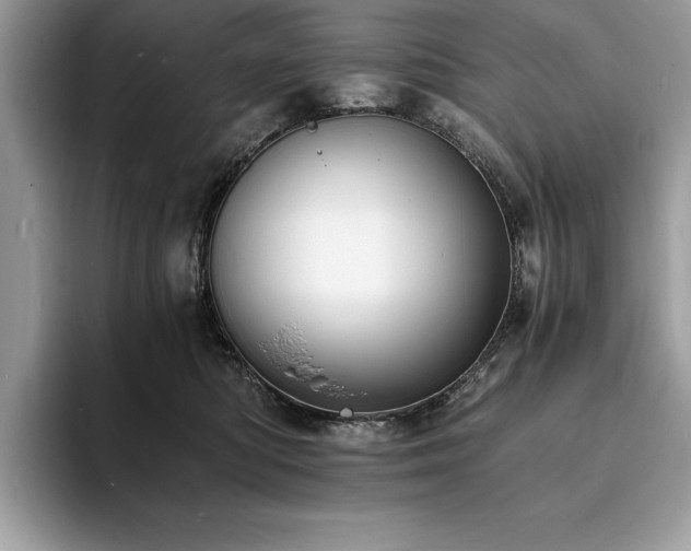 X0000094060422200710191105