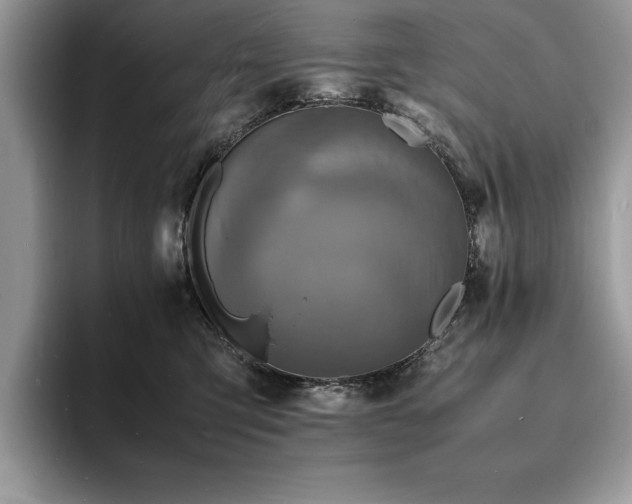 X0000094060423200710191105