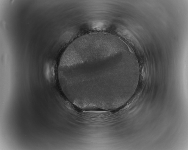 X0000094060424200710191105