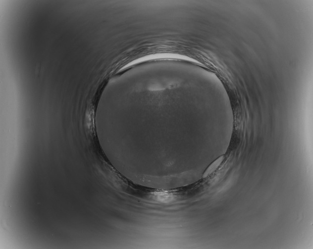 X0000094060425200710191105