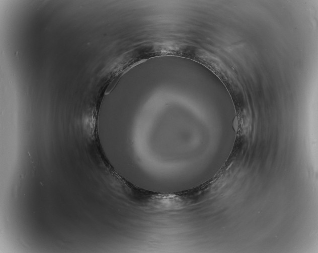 X0000094060427200710191105