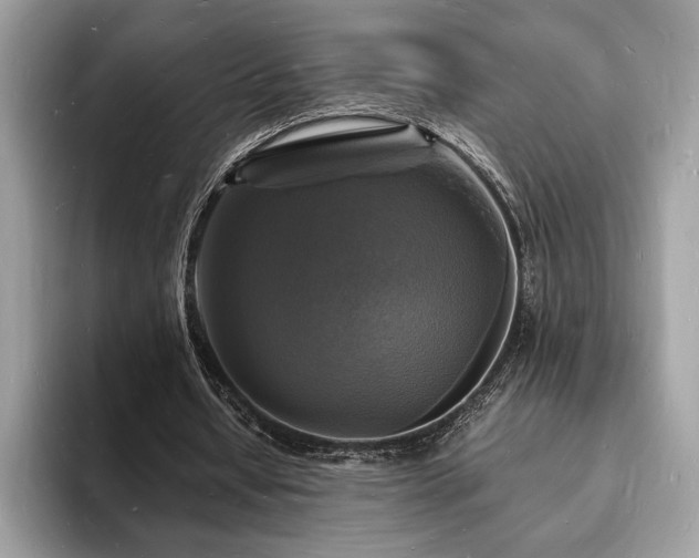 X0000094060434200710191104