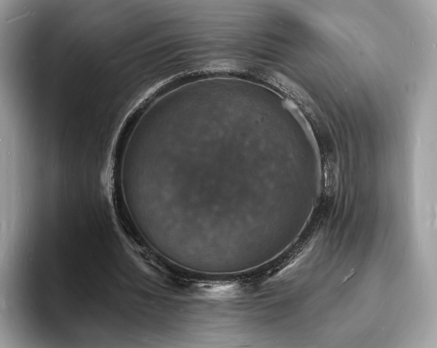 X0000094060436200710191104