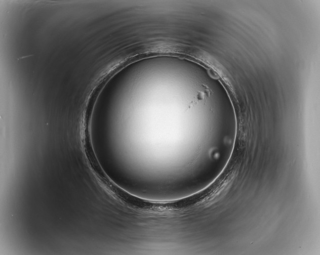 X0000094060437200710191104