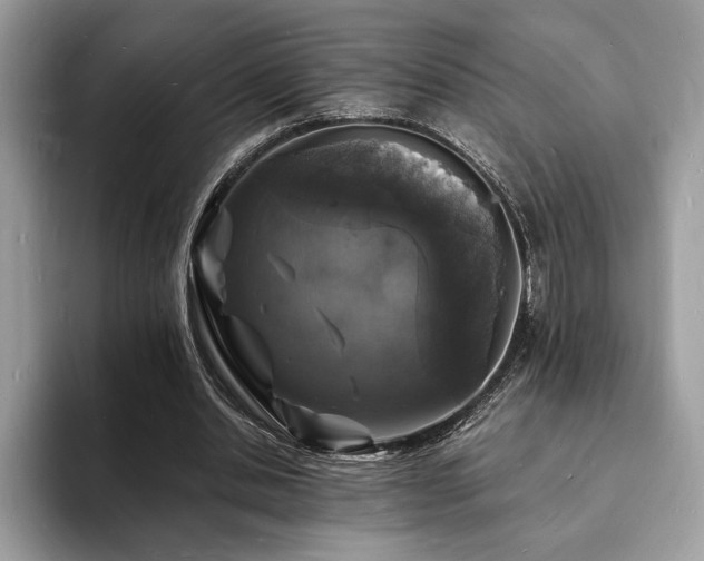 X0000094060438200710191104