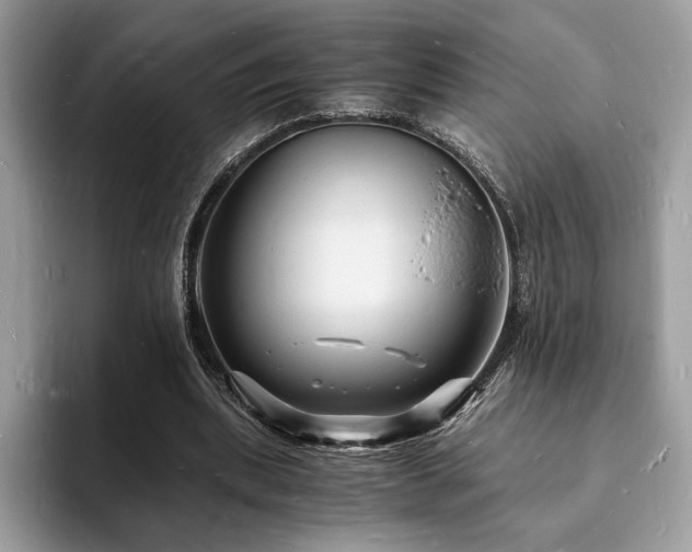 X0000094060439200710191104