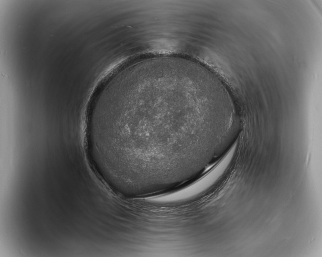 X0000094060440200710191104