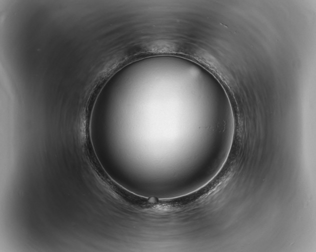 X0000094060441200710191104