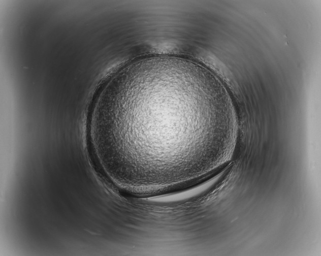 X0000094060442200710191104