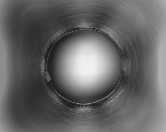X0000094060445200710191104
