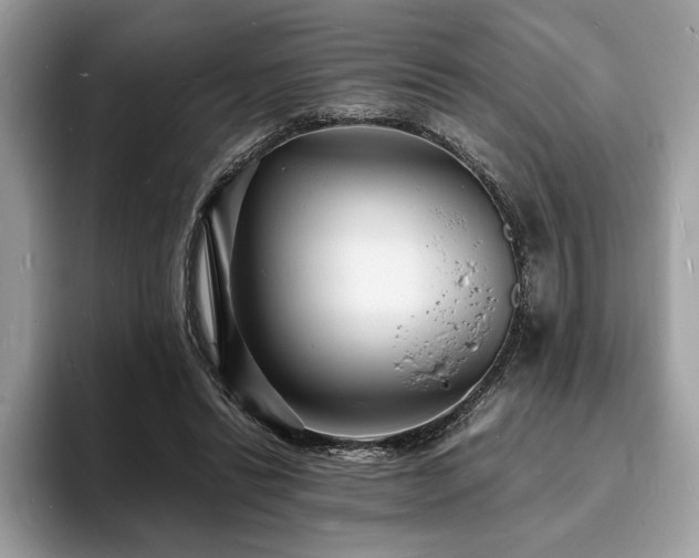 X0000094060446200710191104