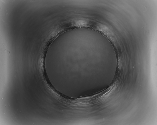 X0000094060449200710191104
