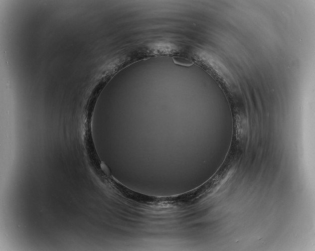 X0000094060451200710191104