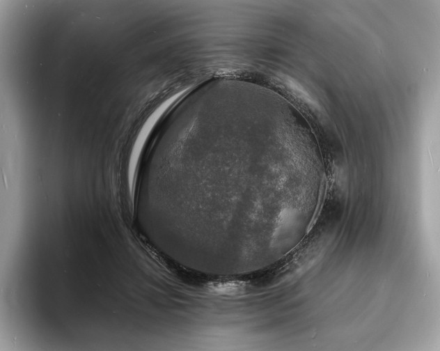 X0000094060452200710191104