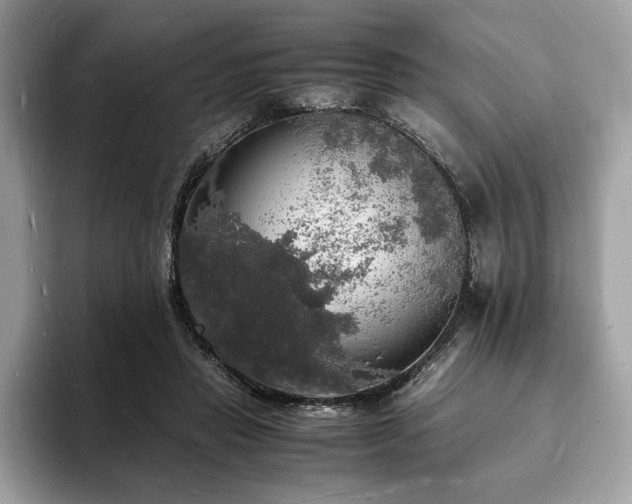 X0000094060453200710191104