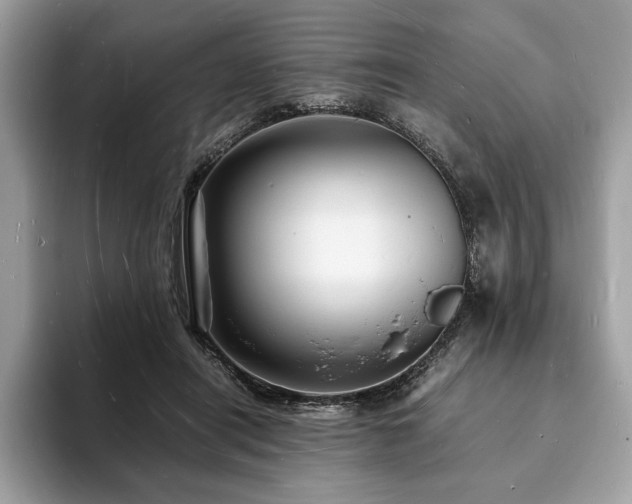 X0000094060454200710191104