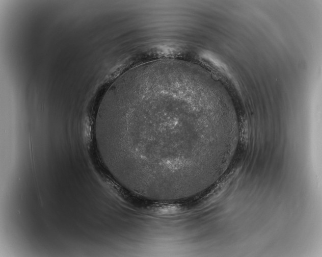 X0000094060456200710191104