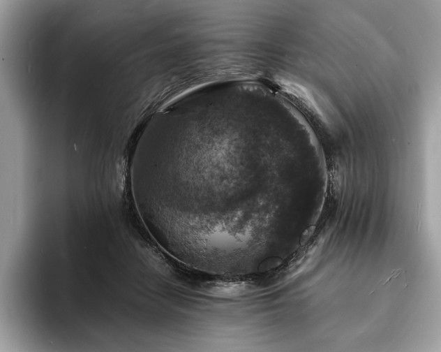 X0000094060458200710191104