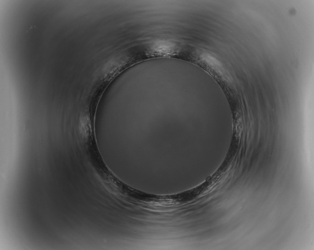 X0000094060459200710191104