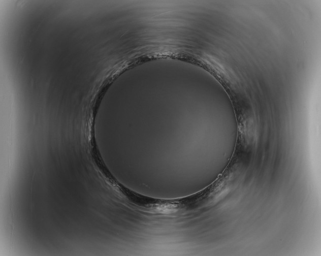 X0000094060462200710191104