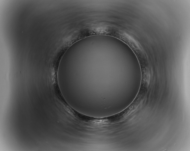 X0000094060465200710191104