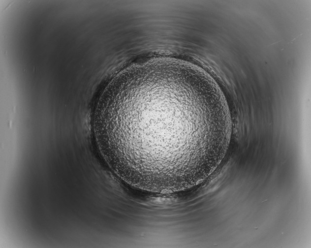 X0000094060466200710191104