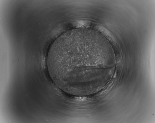 X0000094060469200710191104