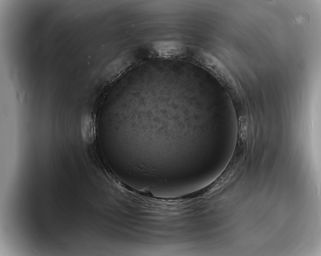 X0000094060471200710191104