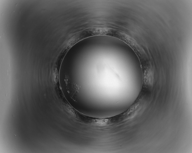X0000094060474200710191104