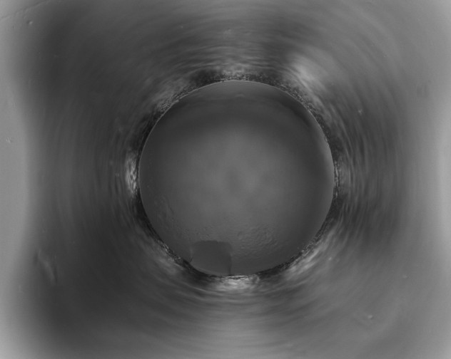 X0000094060479200710191105