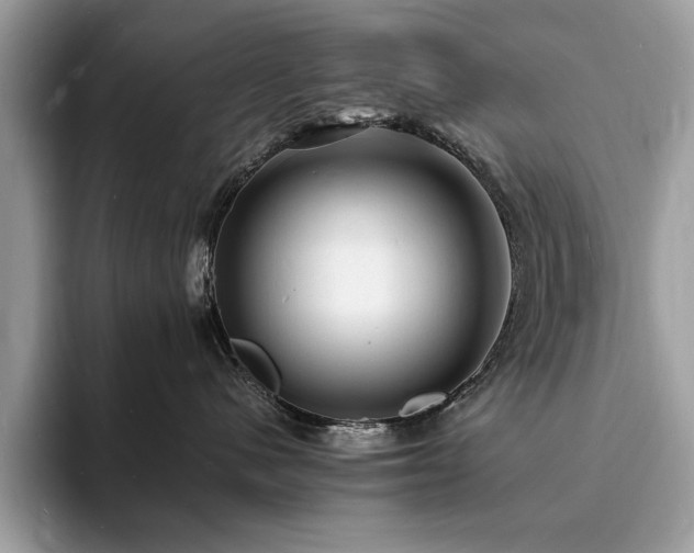 X0000094060480200710191105