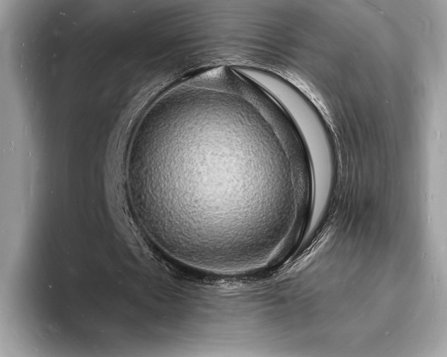 X0000094060481200710191104