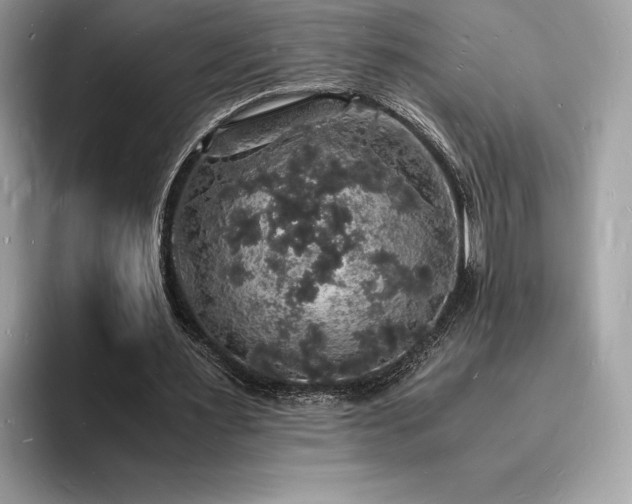 X0000094060483200710191104