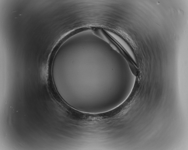 X0000094060484200710191104