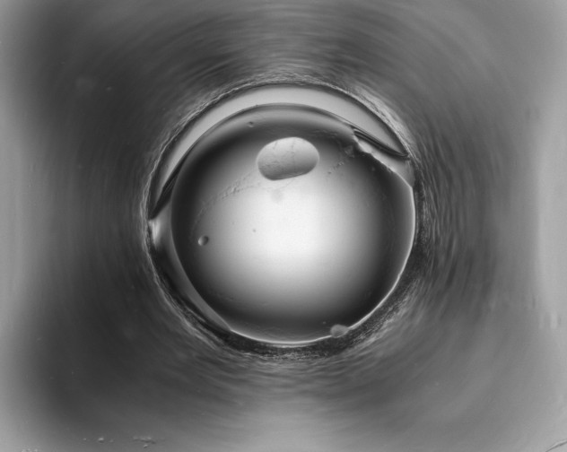 X0000094060485200710191104